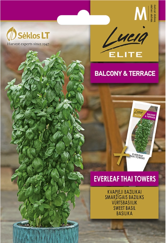 Bazylia tajska wysoka Everleaf Thai Towers do uprawy w donicach nasiona Lucia Elite